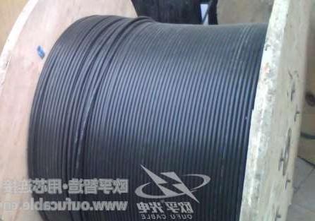 上海全介质自承式adss光缆护套中的AT和PE的区别