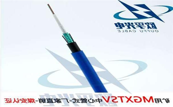 云林县欧孚MGXTSV-8B1 矿用单模阻燃光缆G652D纤芯煤安证书